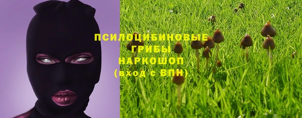 PSILOCYBIN Пролетарск