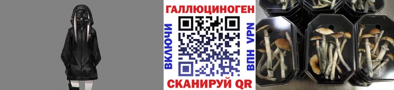 Псилоцибиновые грибы Cubensis  ссылка на мегу зеркало  Боровск 